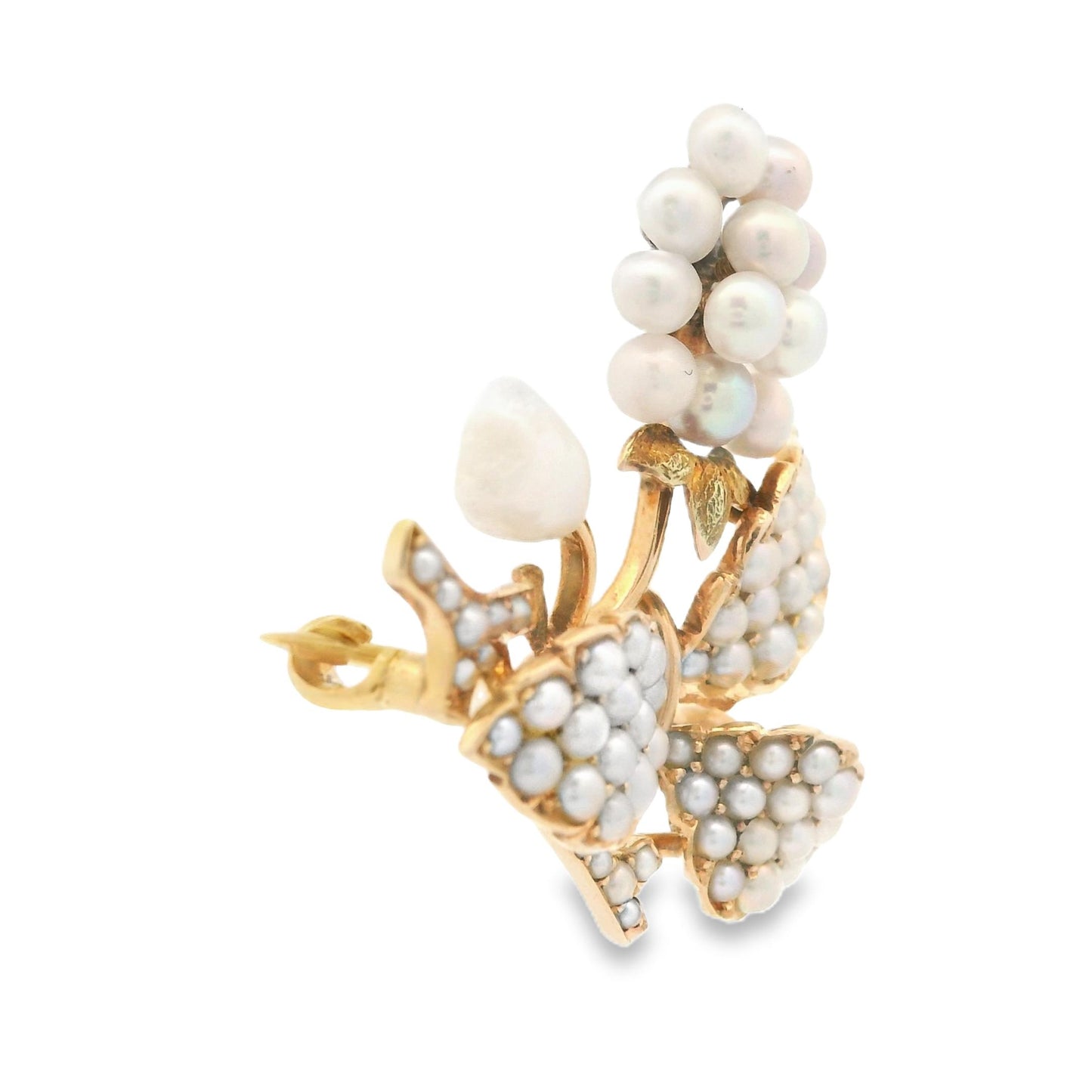 1890s 14k Yellow Gold Bippart, Griscom & Osborn Seed Pearl Grape Vine Brooch