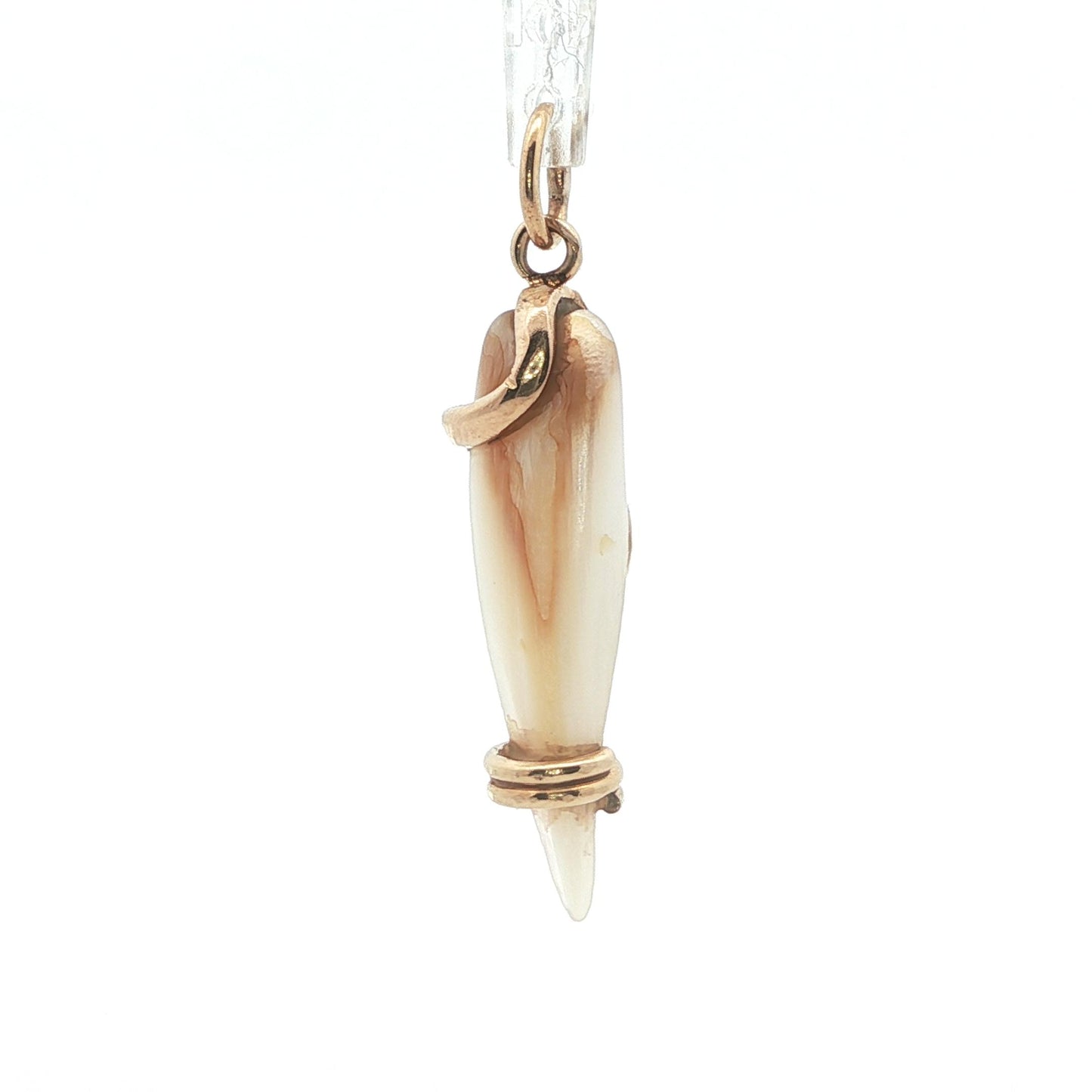 1890 Victorian Mother of Pearl 14k Yellow Gold Snake Pendant w/ Diamond + Ruby