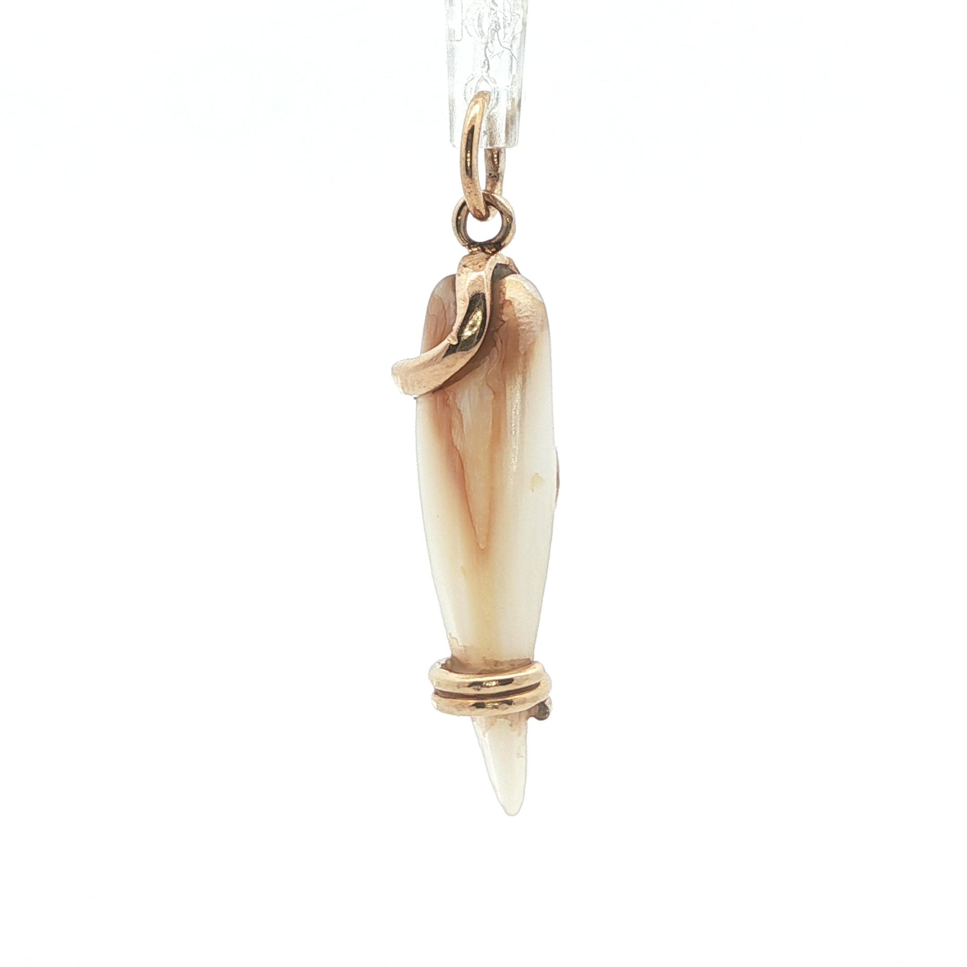 1890 Victorian Mother of Pearl 14k Yellow Gold Snake Pendant w/ Diamond + Ruby