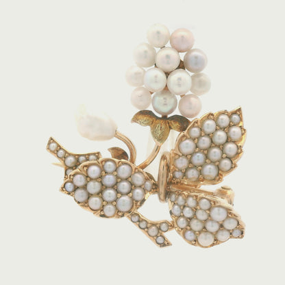 1890s 14k Yellow Gold Bippart, Griscom & Osborn Seed Pearl Grape Vine Brooch